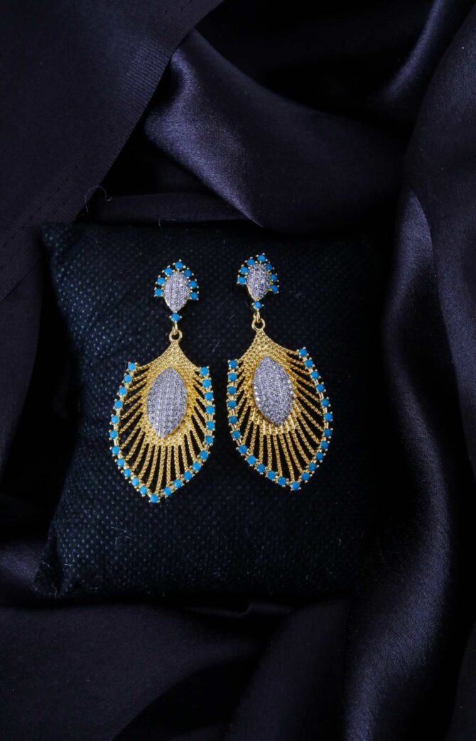 Fancy earrings